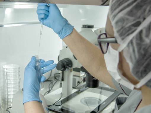LAB-REP-ASIT.jpg